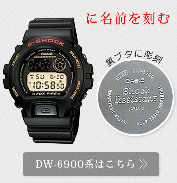 DW-6900系